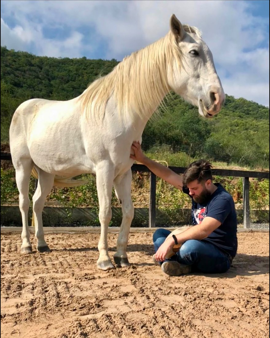 Sesión real de coaching: un participante sentado en la arena junto a un caballo blanco